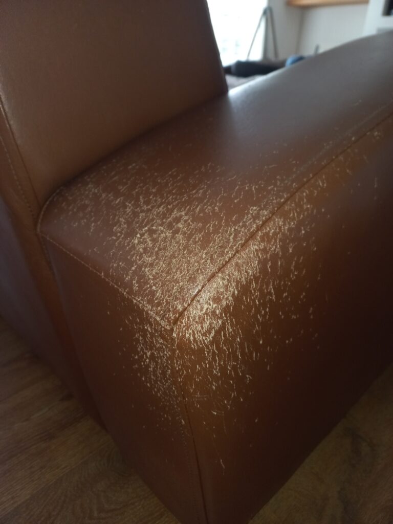 a badly scratched leather damaged by cats
