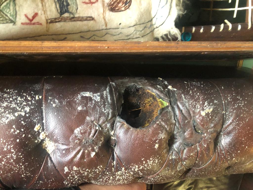 leather chesterfiels couch with a burnt hole