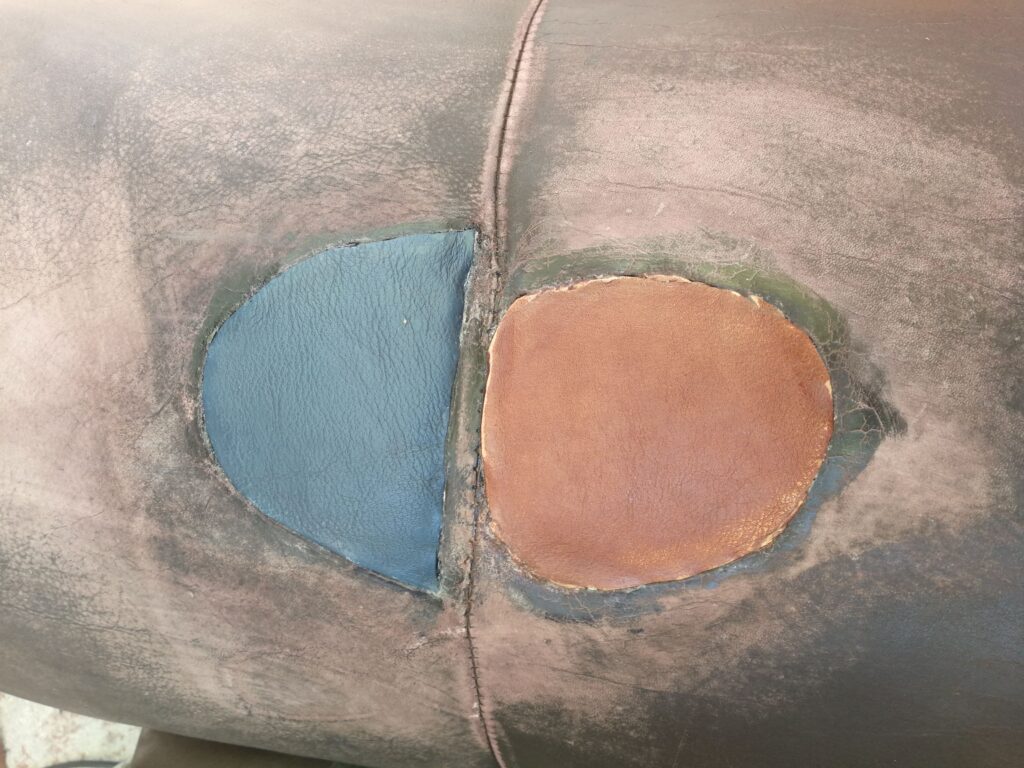 dog chew repair